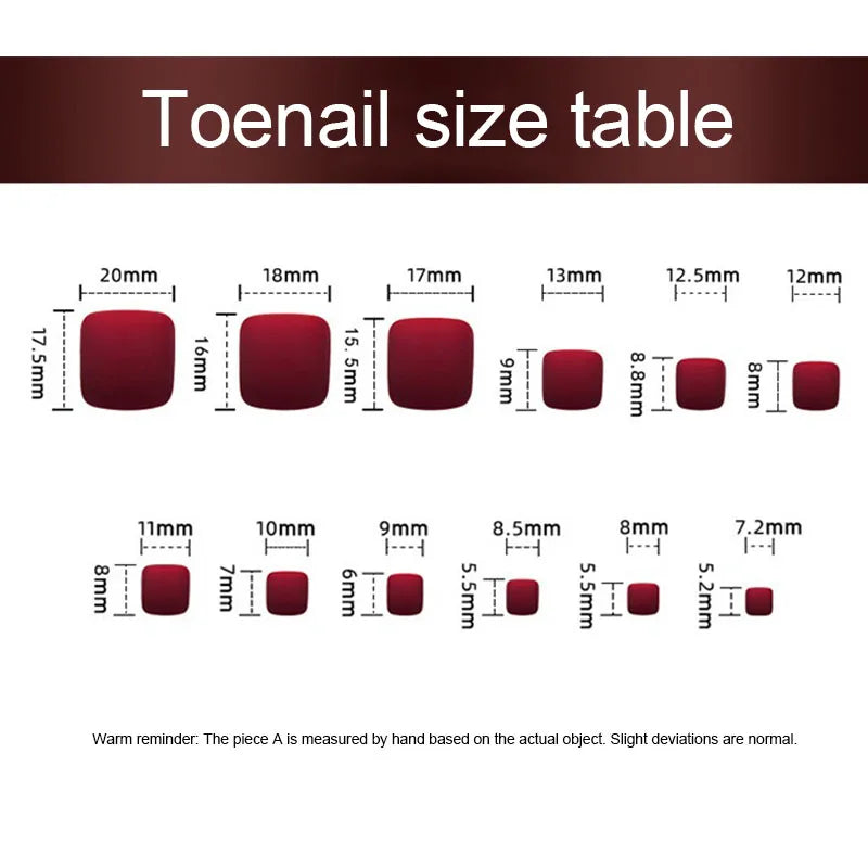 New 24 Pcs French Design Fake Toe False Nails