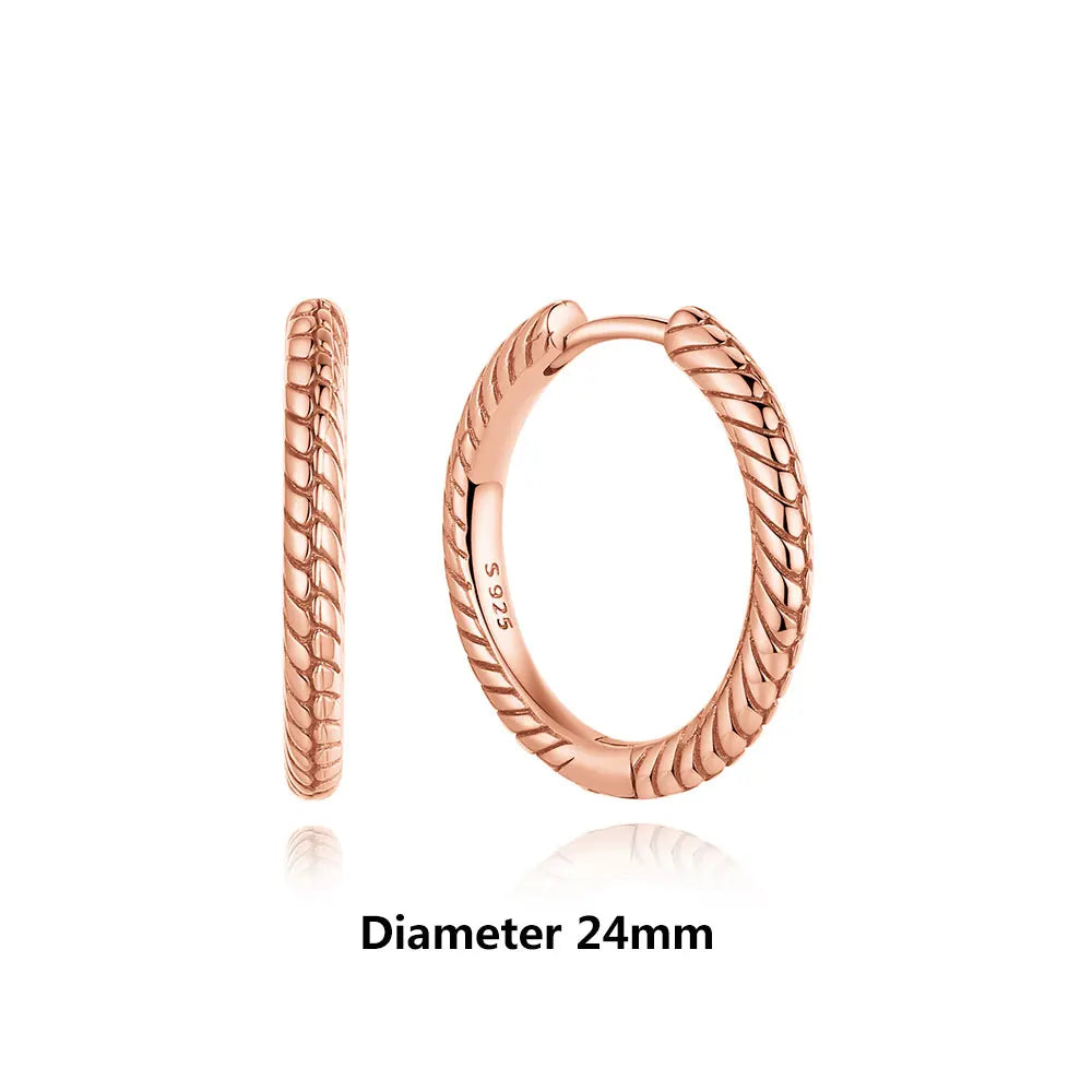 925 Sterling Silver Earrings For Women