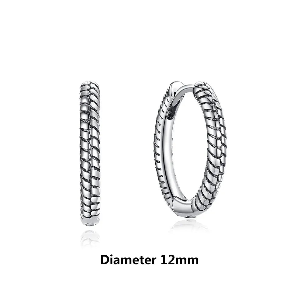 925 Sterling Silver Earrings For Women