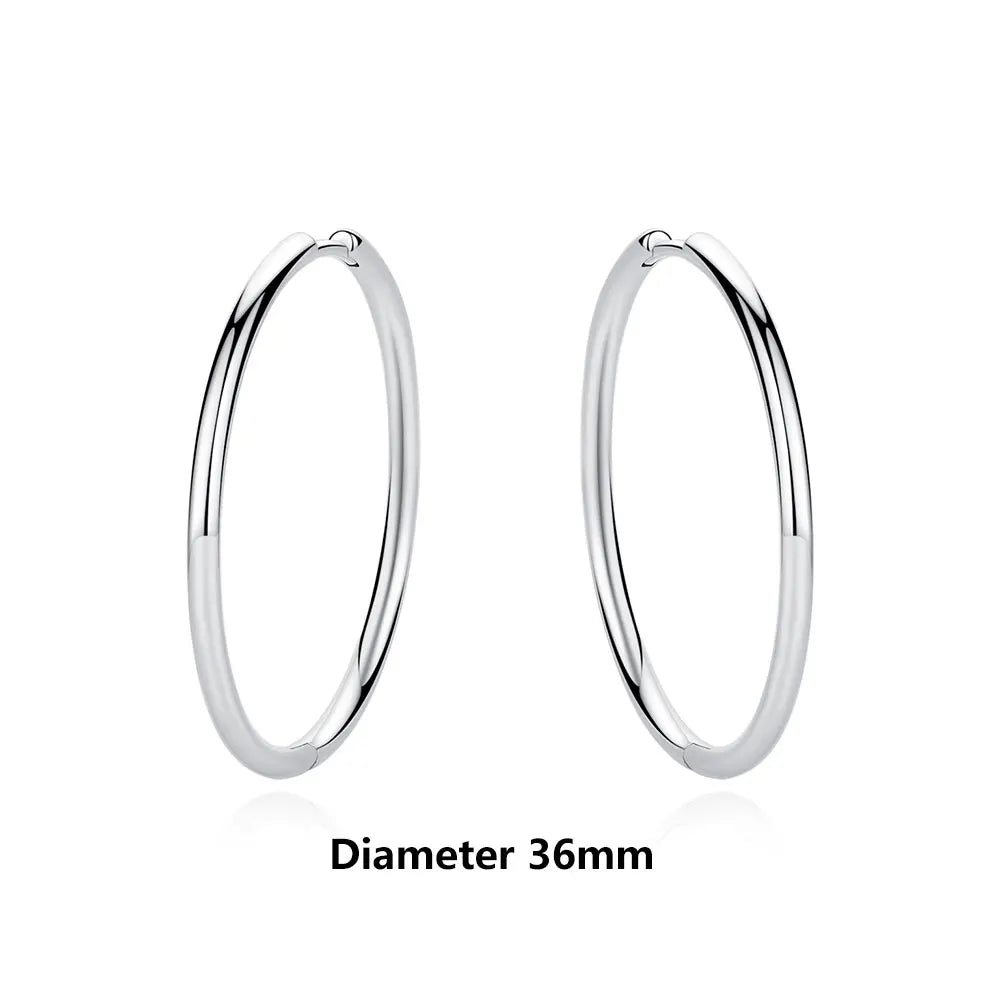 925 Sterling Silver Earrings For Women